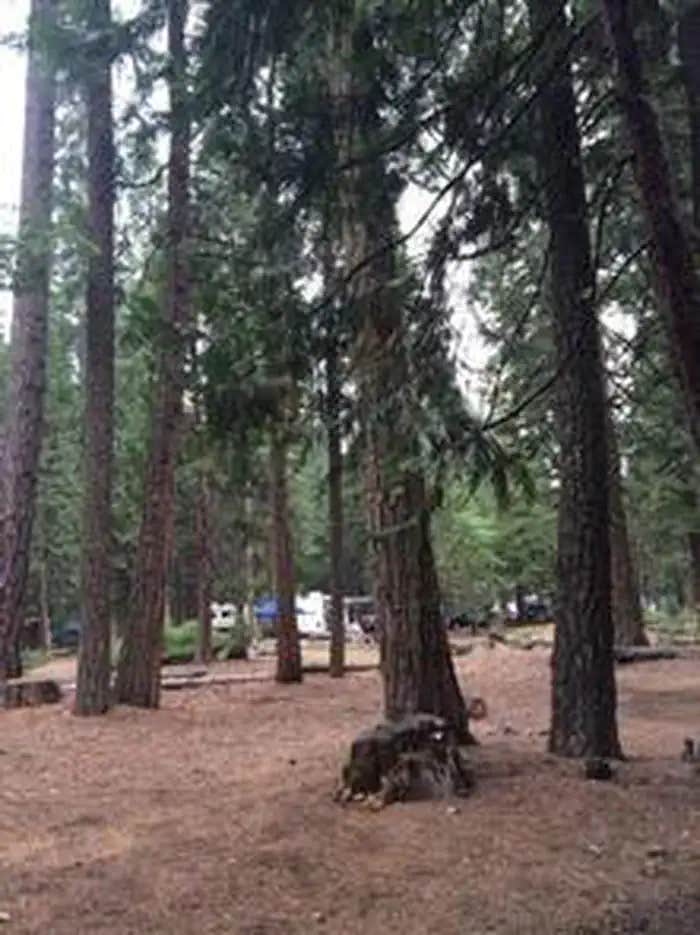 Camper submitted image from Wench Creek Campground - 1