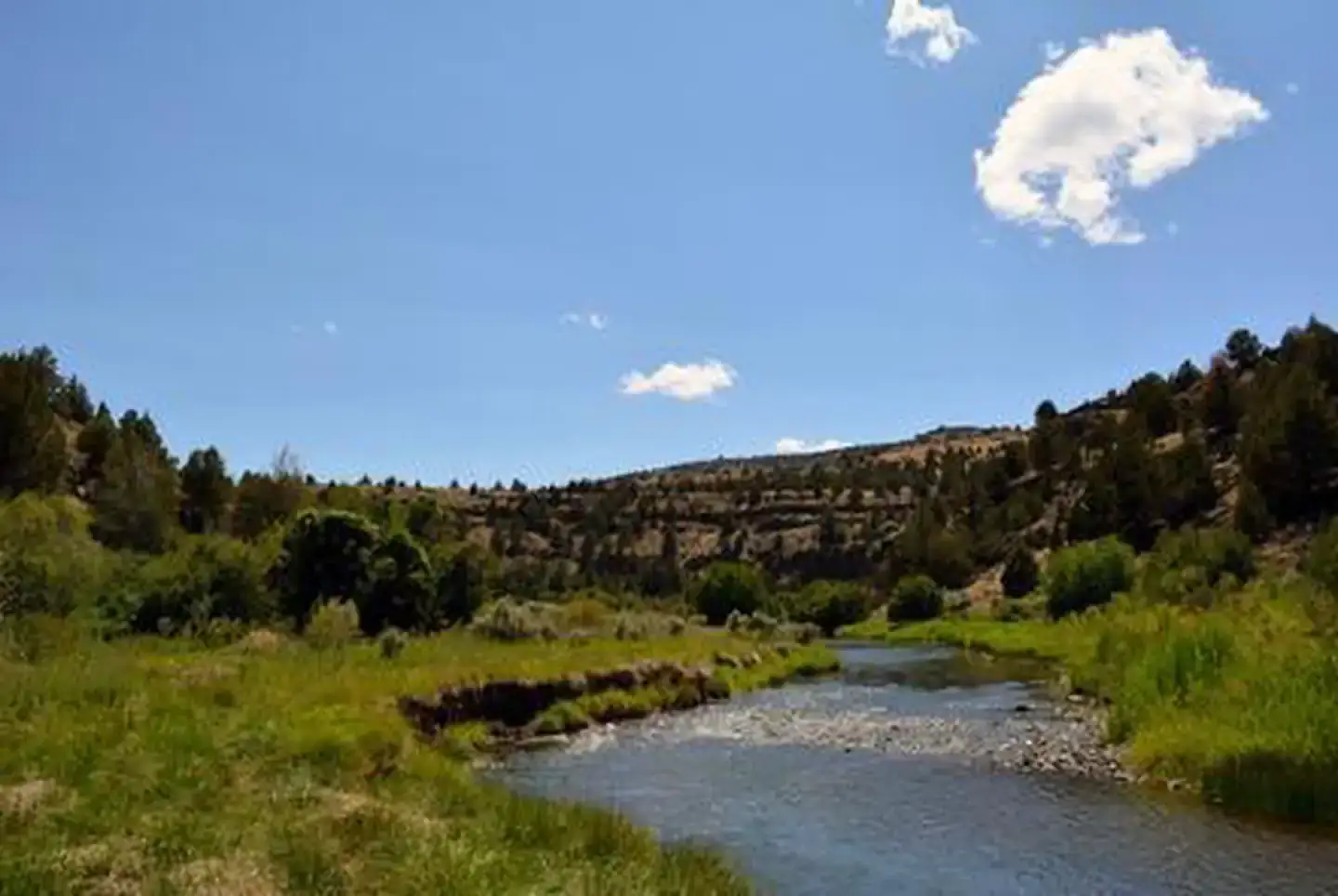 Camper-submitted photo at Page Springs Campground near Diamond, OR