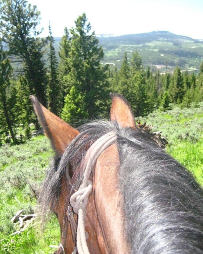 Camper-submitted photo at Glacier Campground in Montana