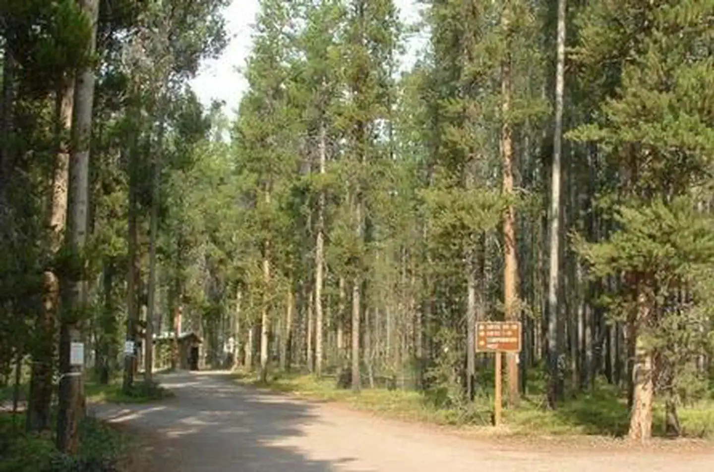 Camper-submitted photo at Lodgepole Campground near Philipsburg, MT