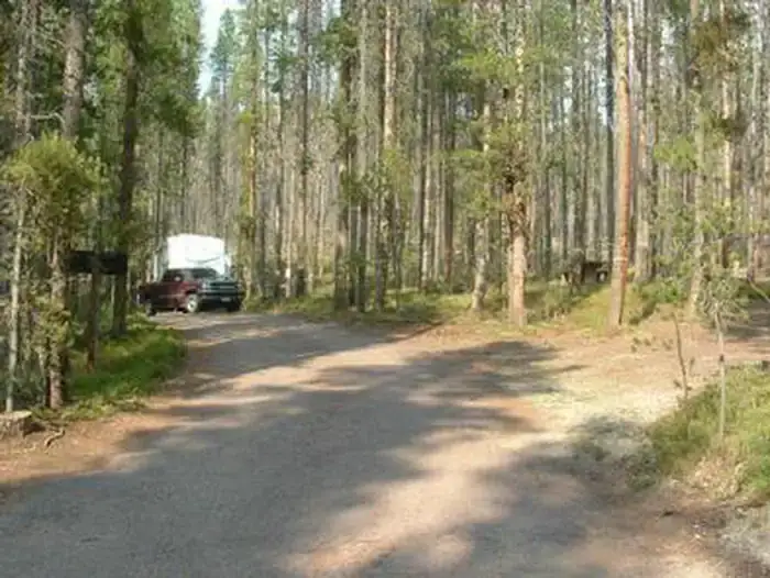 Camper-submitted photo at Lodgepole Campground near Philipsburg, MT
