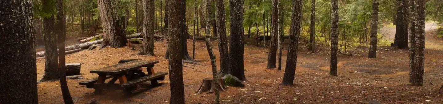 Camper-submitted photo at Peterson Prairie Campground near Trout Lake, WA