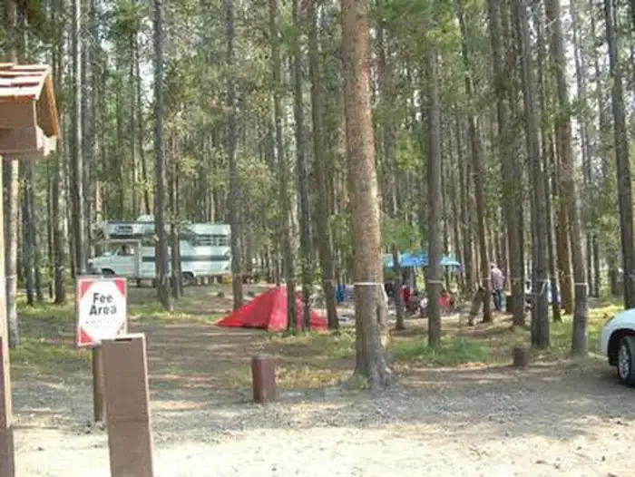 Camper-submitted photo at Lodgepole Campground near Philipsburg, MT