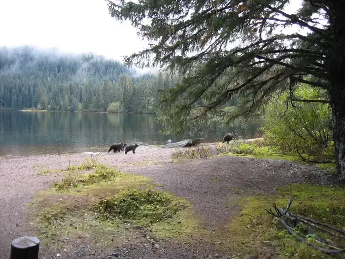 Camper-submitted photo at Kook Lake Cabin near Tenakee Springs, AK