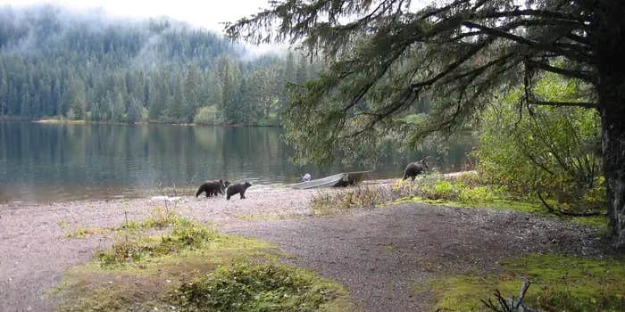 Camper submitted image from Kook Lake Cabin