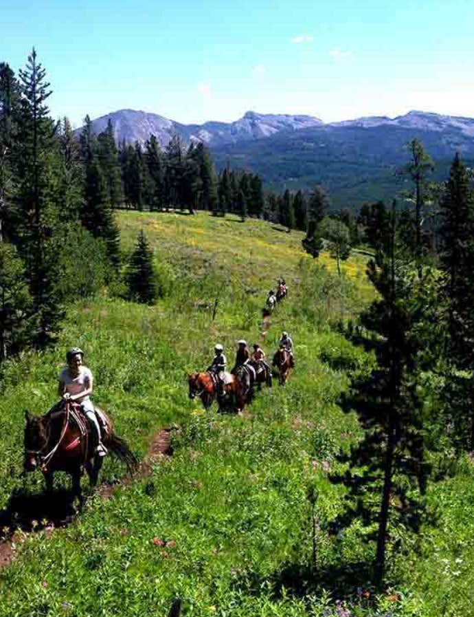 Kayla K.'s photo of camping with a horse at Glacier Campground in Montana
