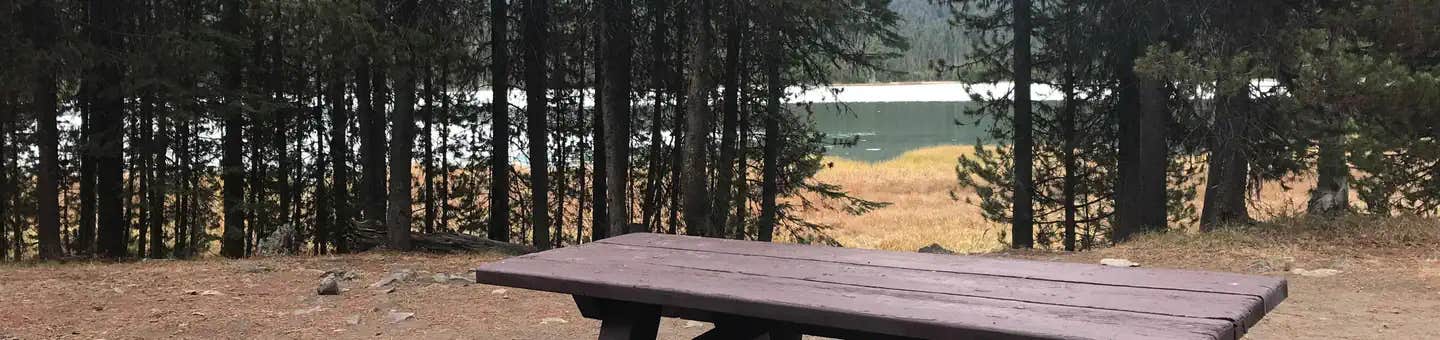 Camper submitted image from Little Lava Lake - 1