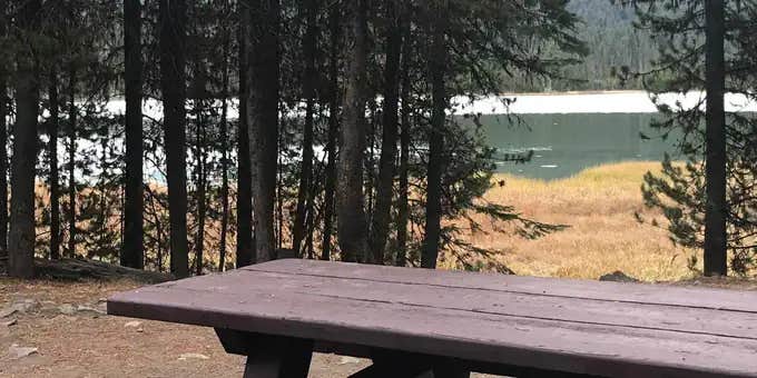 Camper submitted image from Little Lava Lake