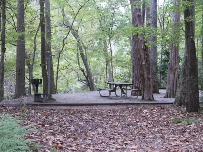 Camper-submitted photo at Isaac Creek near Uriah, AL