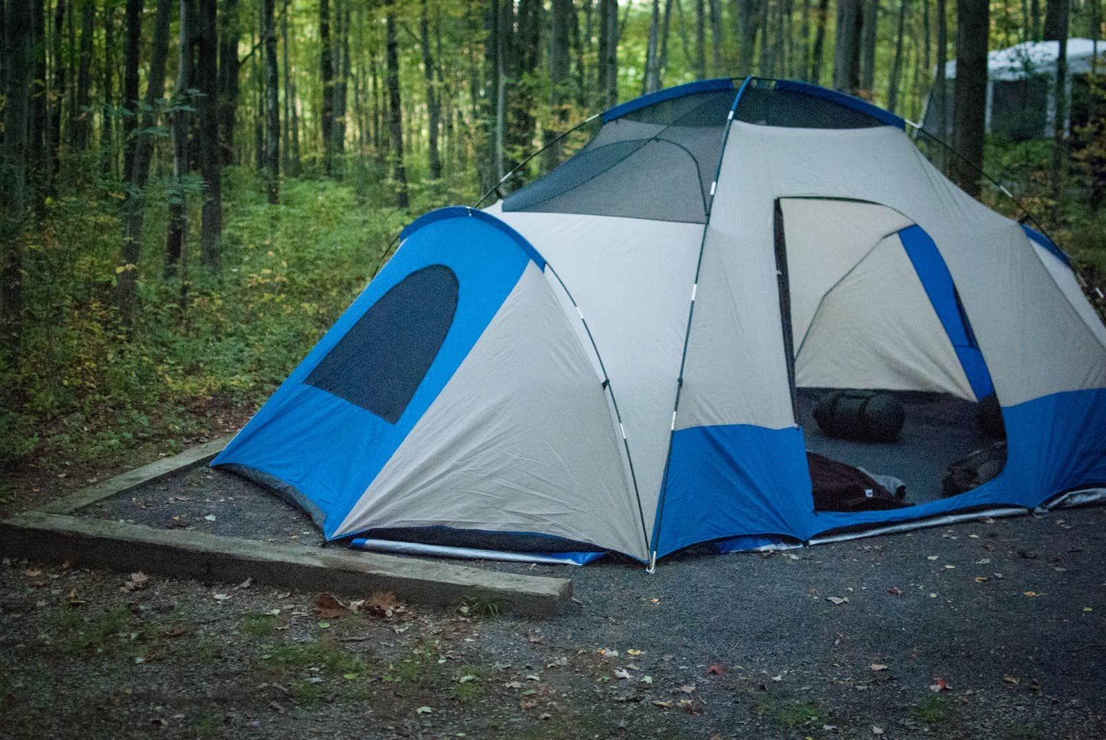 Camper submitted image from Blueberry Patch Campground — Green Mountain & Finger Lakes National Forests - 2