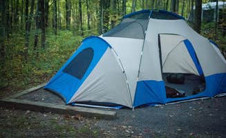 Brian K.'s photo at Blueberry Patch Campground — Green Mountain & Finger Lakes National Forests near Willard, NY