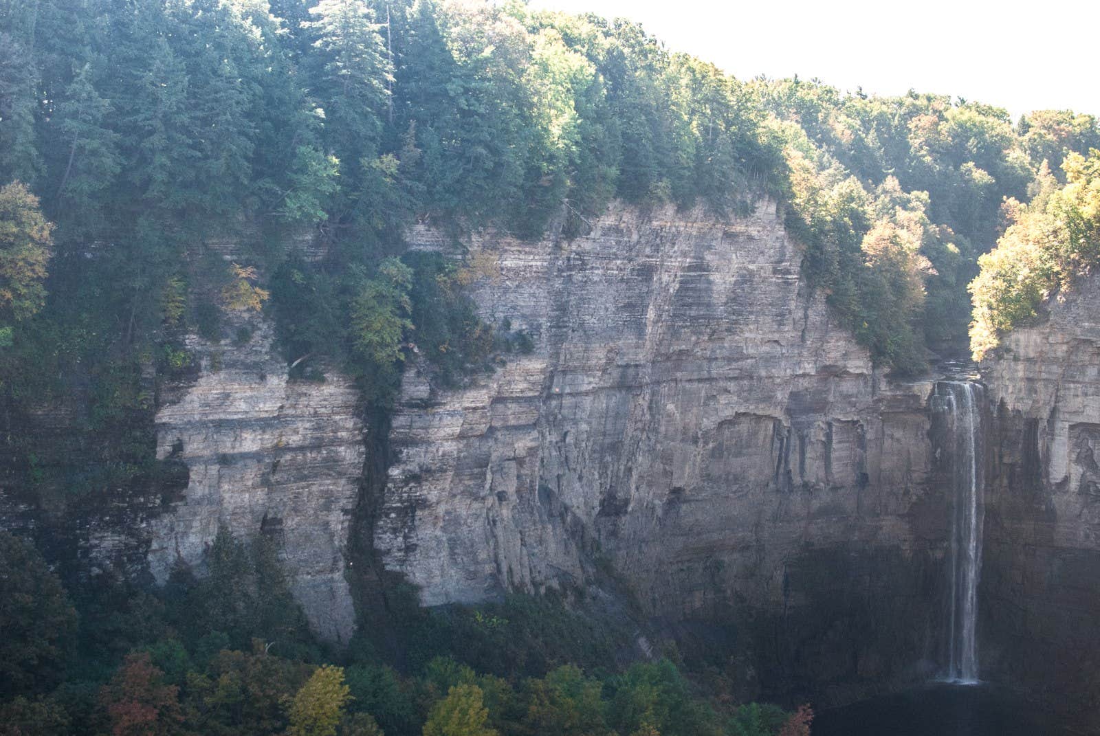 Camper submitted image from Blueberry Patch Campground — Green Mountain & Finger Lakes National Forests - 2