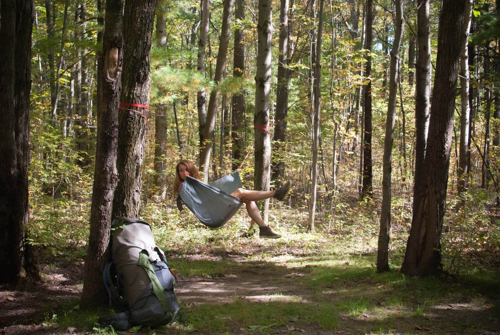 Camper submitted image from Blueberry Patch Campground — Green Mountain & Finger Lakes National Forests - 3