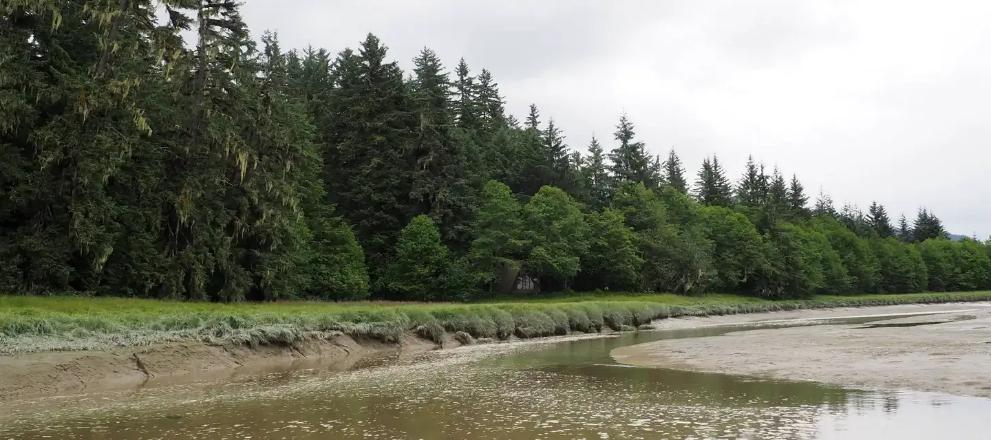 Camper-submitted photo at Mallard Slough Cabin near Petersburg, AK