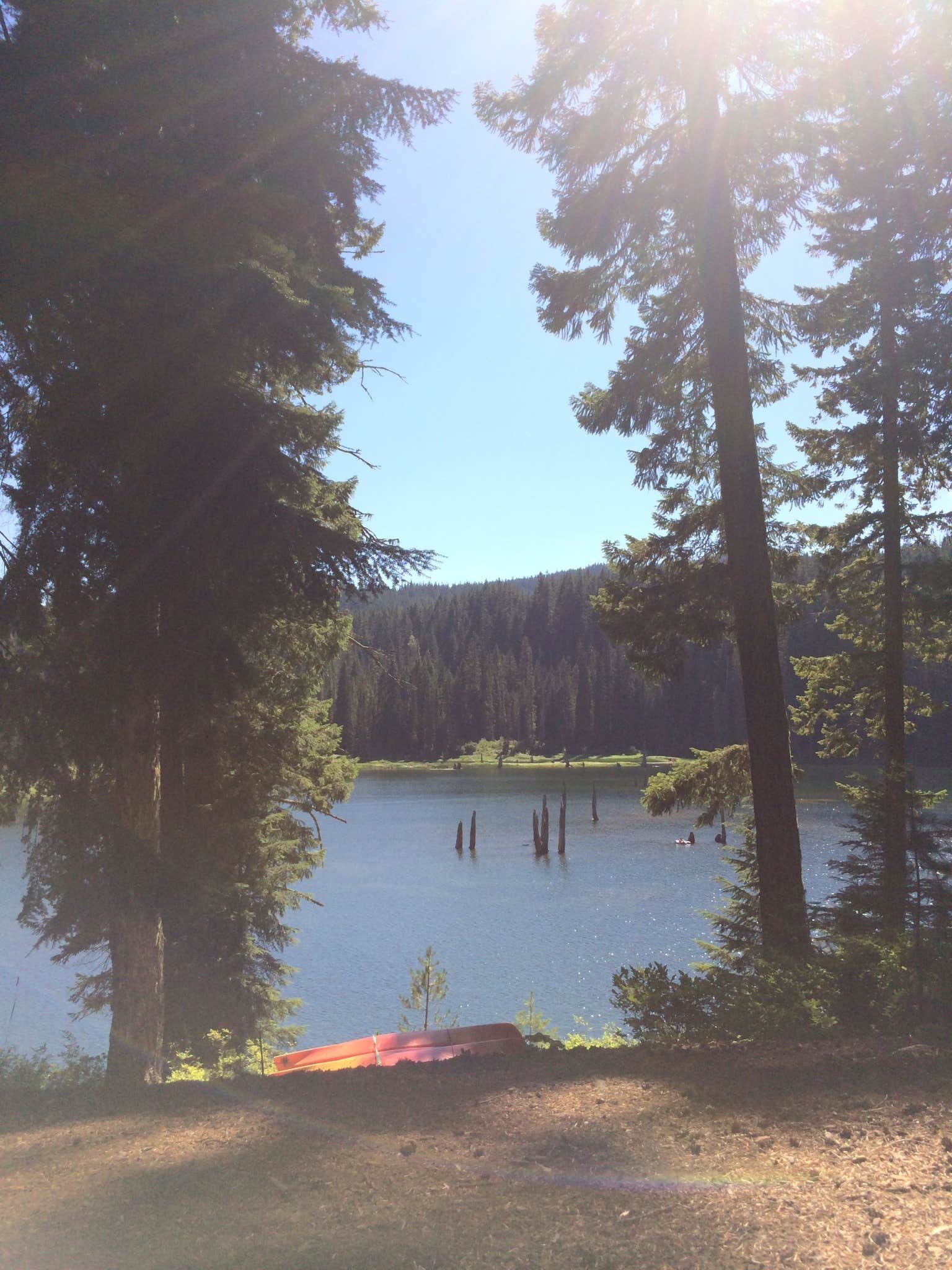Camper-submitted photo at Goose Lake Campground near Trout Lake, WA