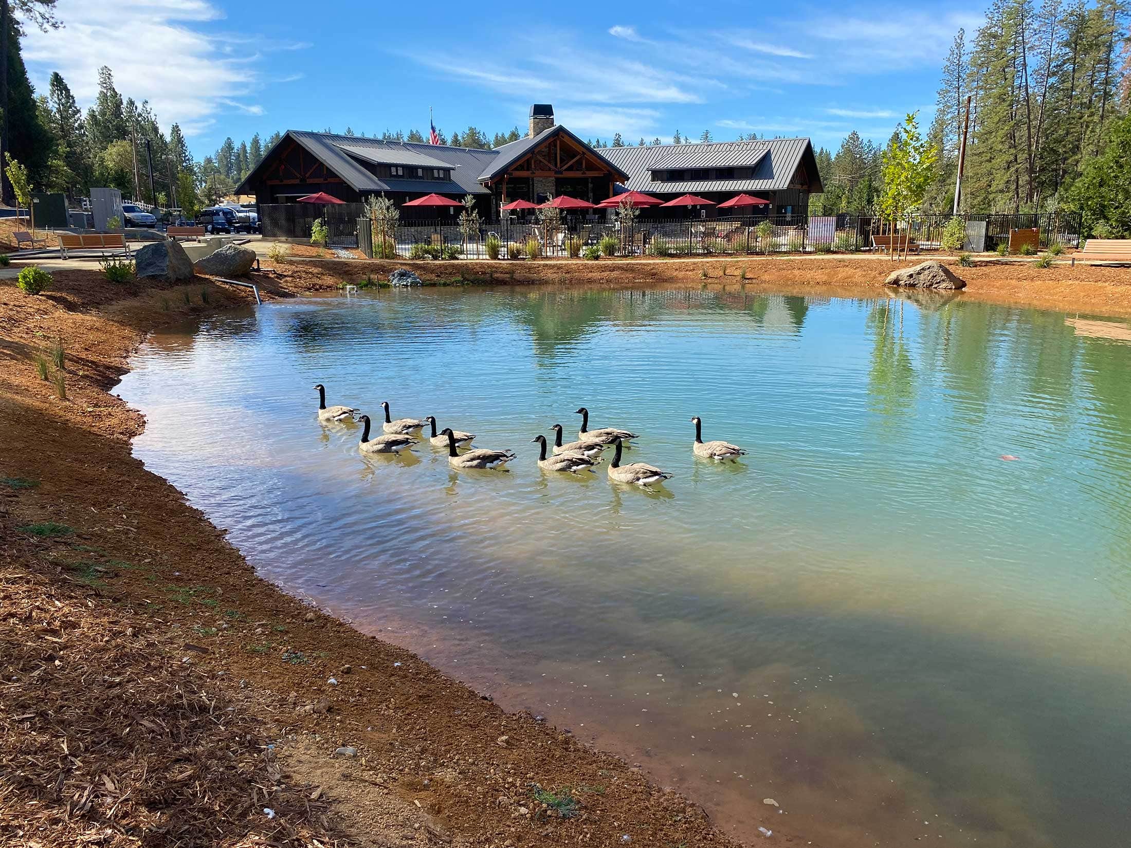 Camper submitted image from Grass Valley RV Resort - 1