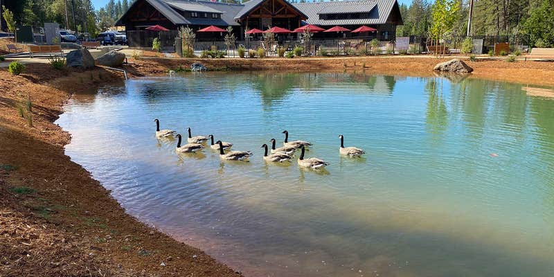 Camper submitted image from Grass Valley RV Resort