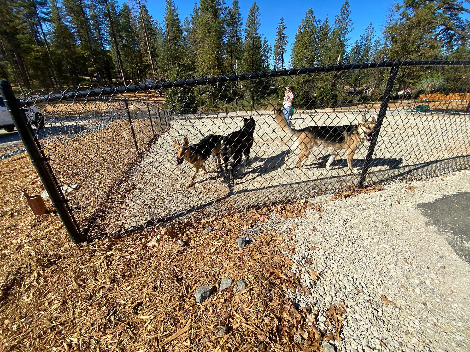 M C.'s photo of camping with pets at Grass Valley RV Resort near Foresthill, CA
