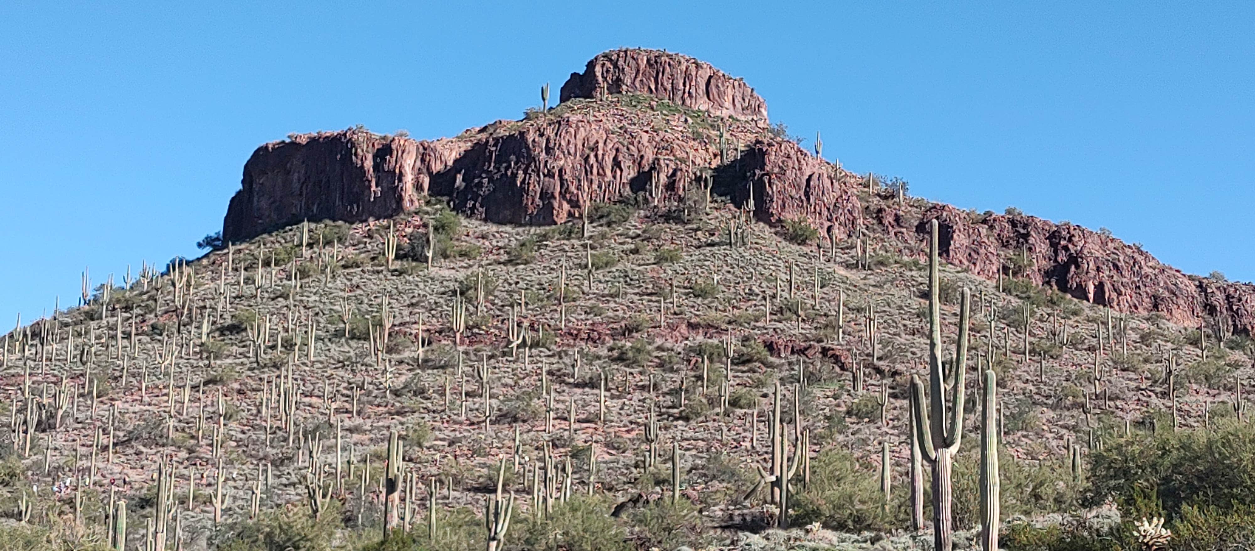 Camper-submitted photo at Peralta Regional Park Primitive Remote Campsites near Gold Canyon, AZ
