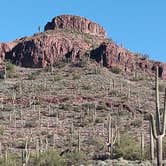 Review photo of Peralta Regional Park Primitive Remote Campsites by Carole B., December 3, 2025