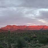 Review photo of Peralta Regional Park Primitive Remote Campsites by Carole B., December 3, 2025