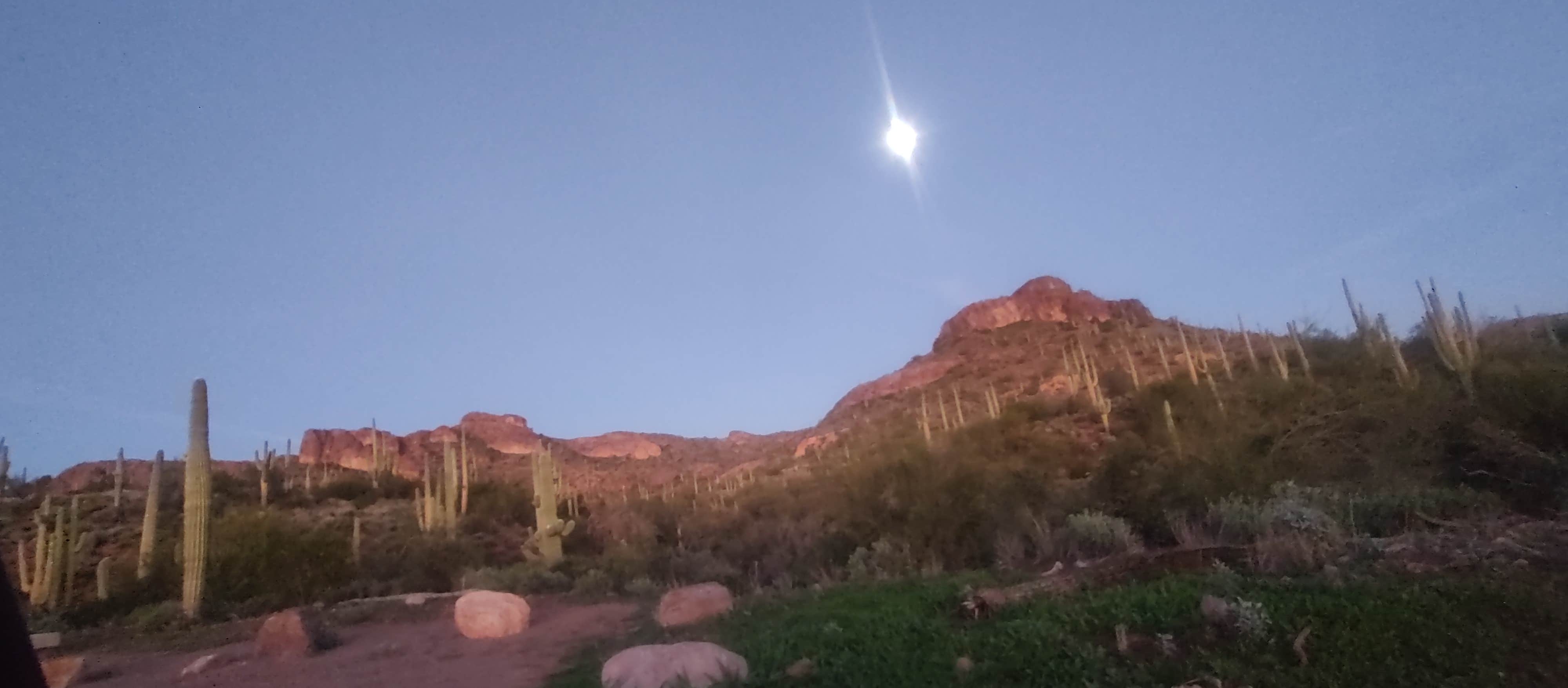 Camper-submitted photo at Peralta Regional Park Primitive Remote Campsites near Gold Canyon, AZ