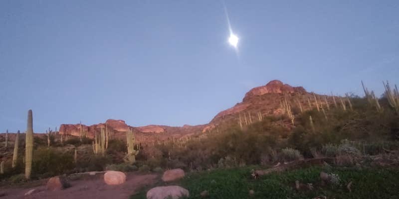 Camper submitted image from Peralta Regional Park Primitive Remote Campsites