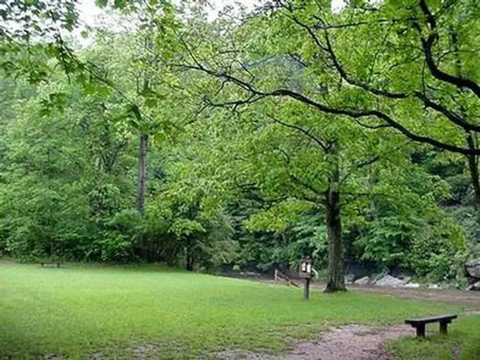 Camper submitted image from Stuart Recreation Area - 1