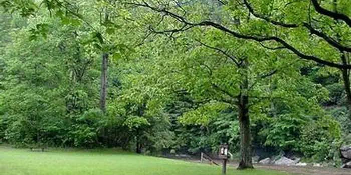 Camper submitted image from Stuart Recreation Area