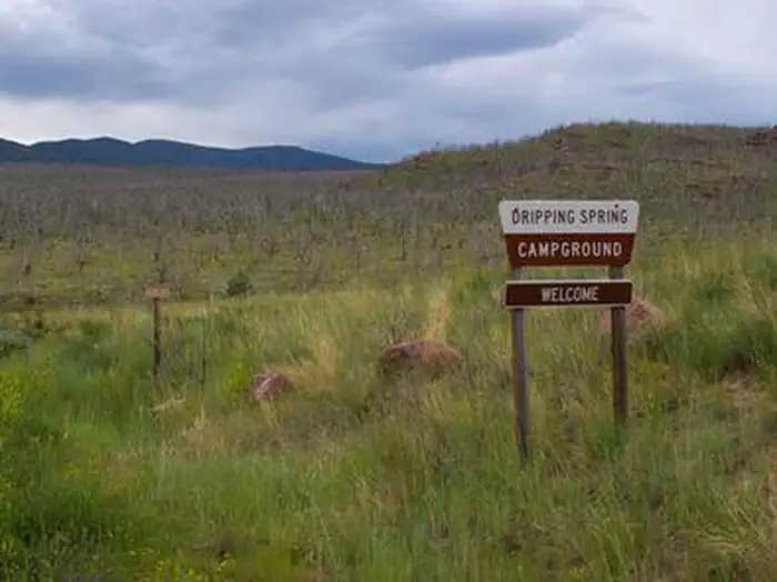 Camper submitted image from Dripping Springs Campground (UT) - 1