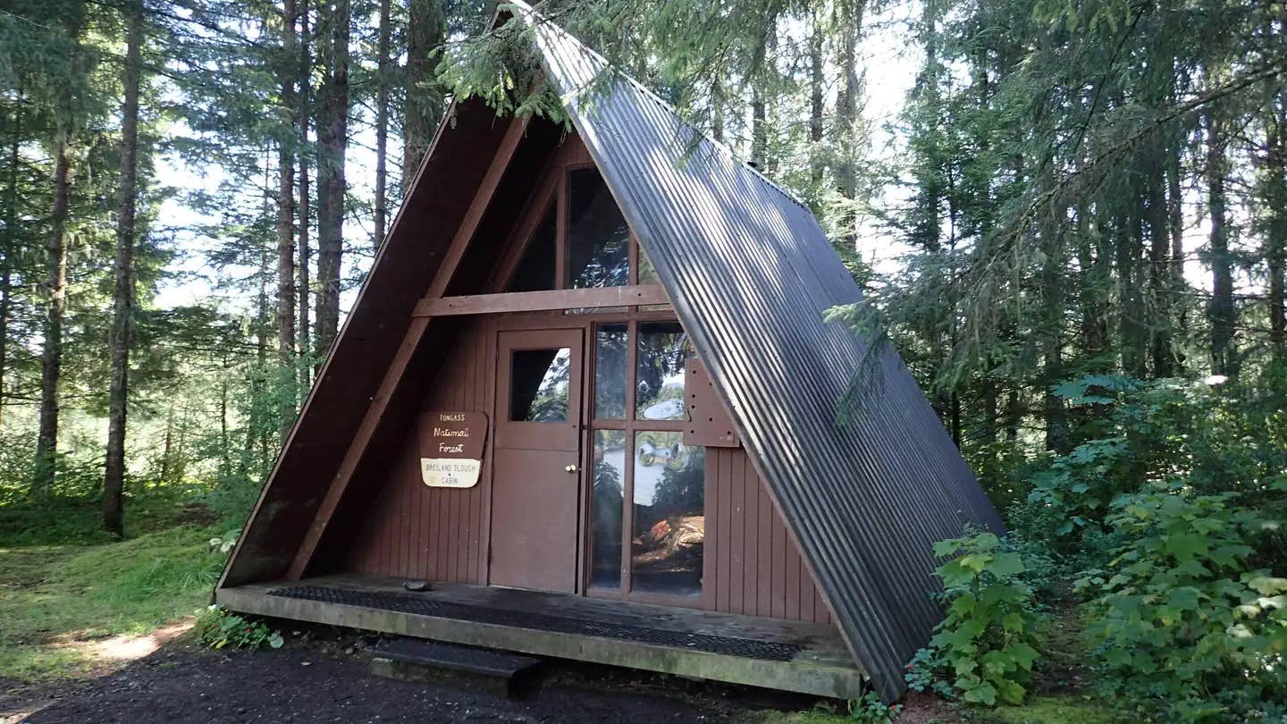 Camper submitted image from Breiland Slough Cabin - 1