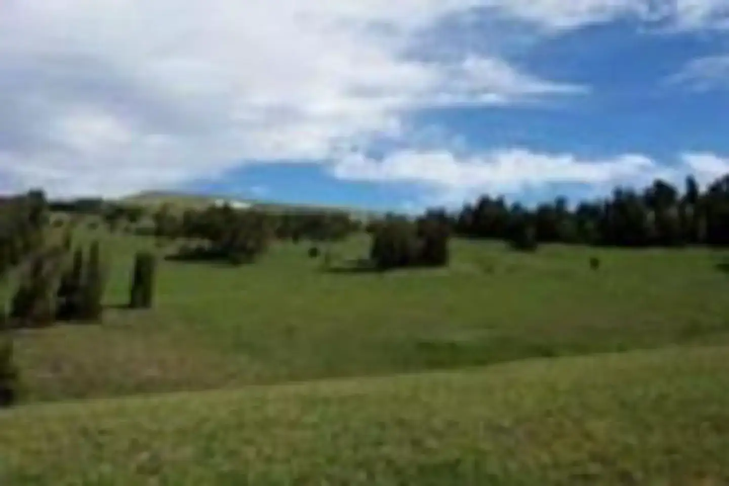 Camper-submitted photo at Windy Pass Cabin near Three Forks, MT
