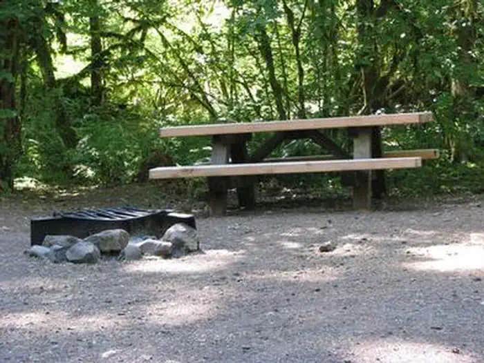 Camper submitted image from Rainbow (OR) - TEMP CLOSED - 1