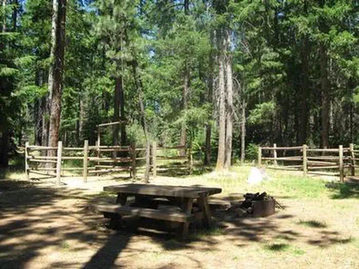 Camper submitted image from Sheep Springs Horse Camp - 1