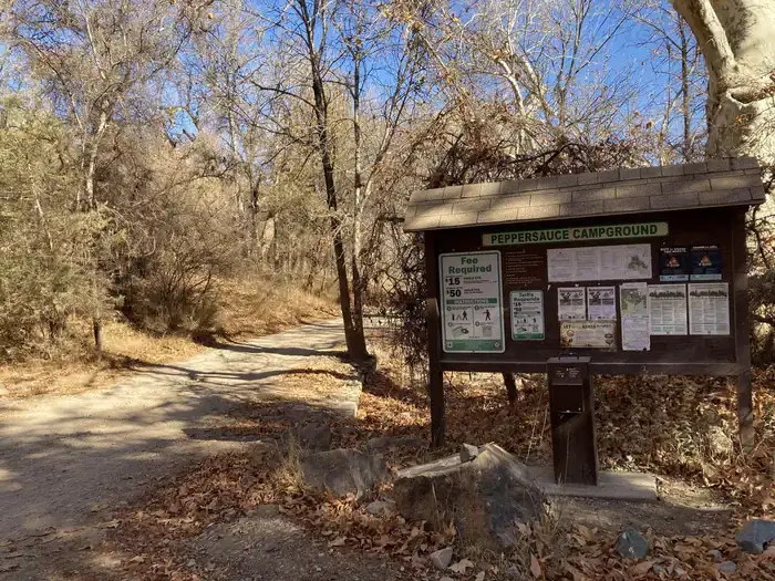 Camper-submitted photo at Peppersauce Campground near San Manuel, AZ