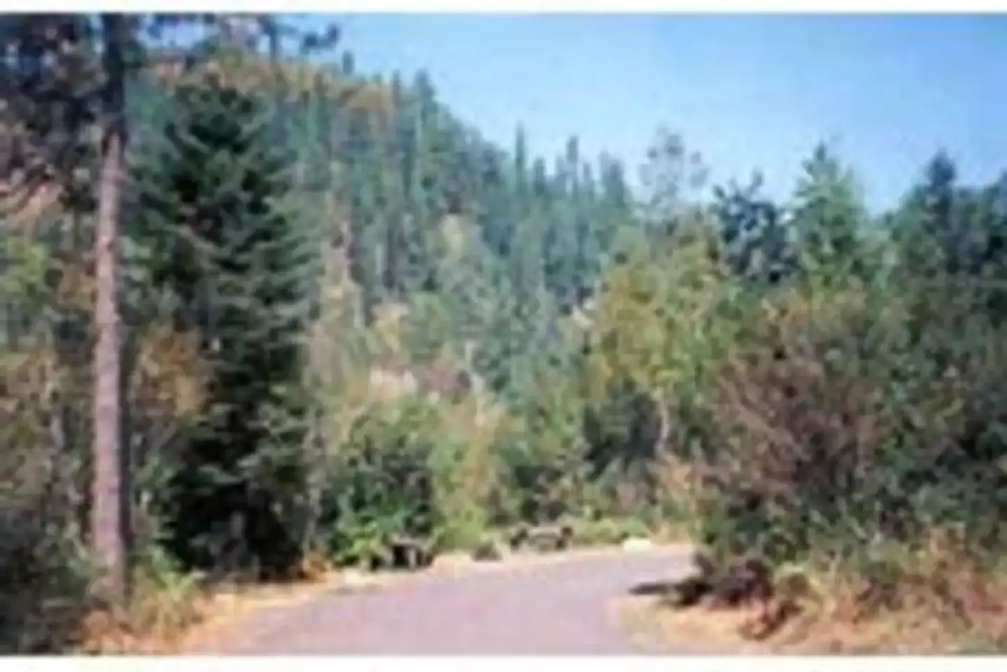 Camper-submitted photo at Wilderness Gateway near Orofino, ID