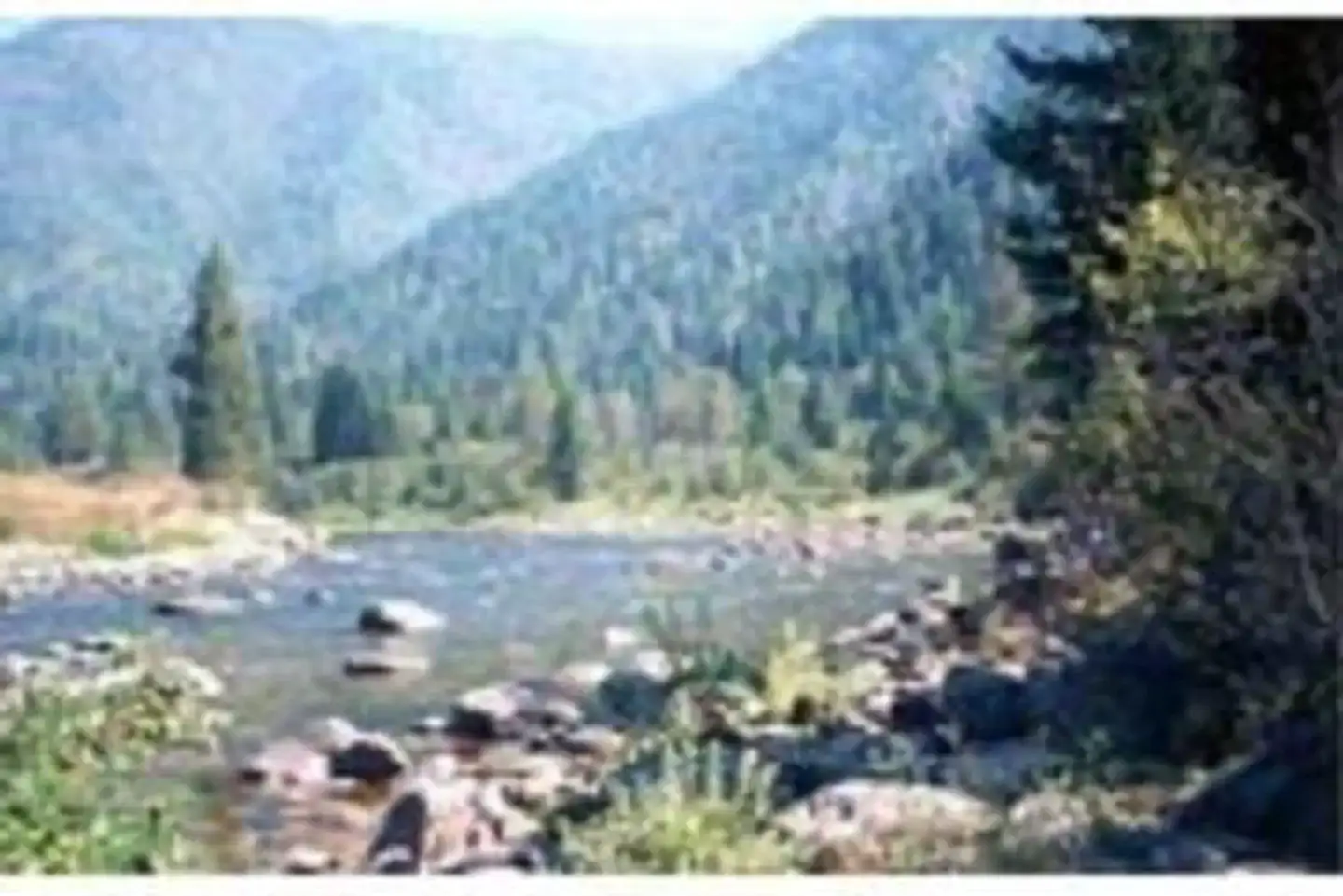 Camper-submitted photo at Wilderness Gateway near Orofino, ID