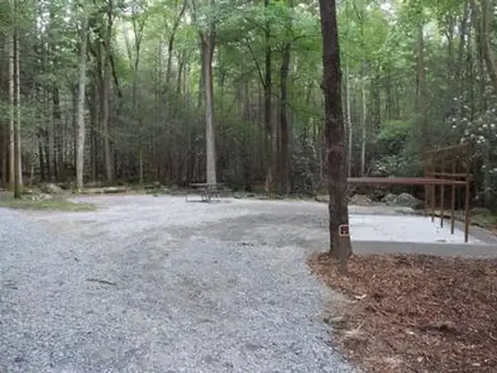 Camper-submitted photo at Anthony Creek Horse Camp — Great Smoky Mountains National Park near Greenback, TN
