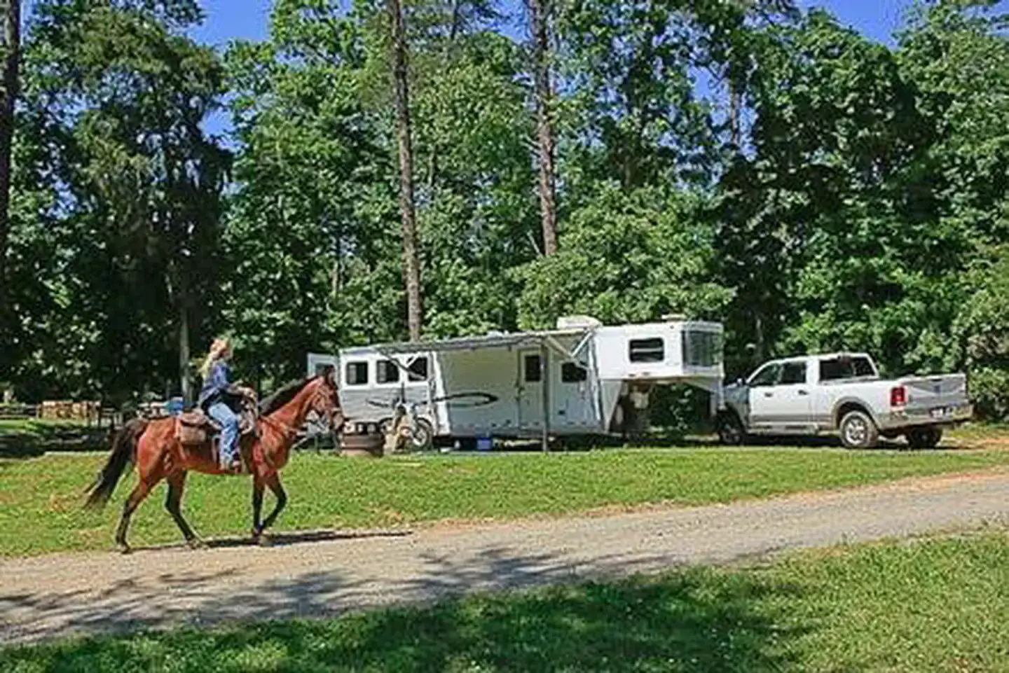 Camper-submitted photo at Canebrake Horse Camp near Rockingham, NC