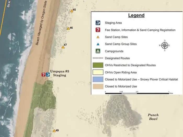 Camper submitted image from Umpqua Sand Camping - 1