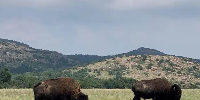 Camper submitted image from Doris Campground