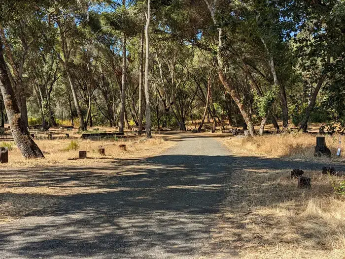 Camper-submitted photo at Bushay Recreation Area near Redwood Valley, CA