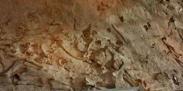 Camper submitted image from Green River Campground — Dinosaur National Monument