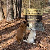 Review photo of Young Branch Horse Camp by Mike B., December 3, 2025