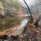 Review photo of Young Branch Horse Camp by Mike B., December 3, 2025