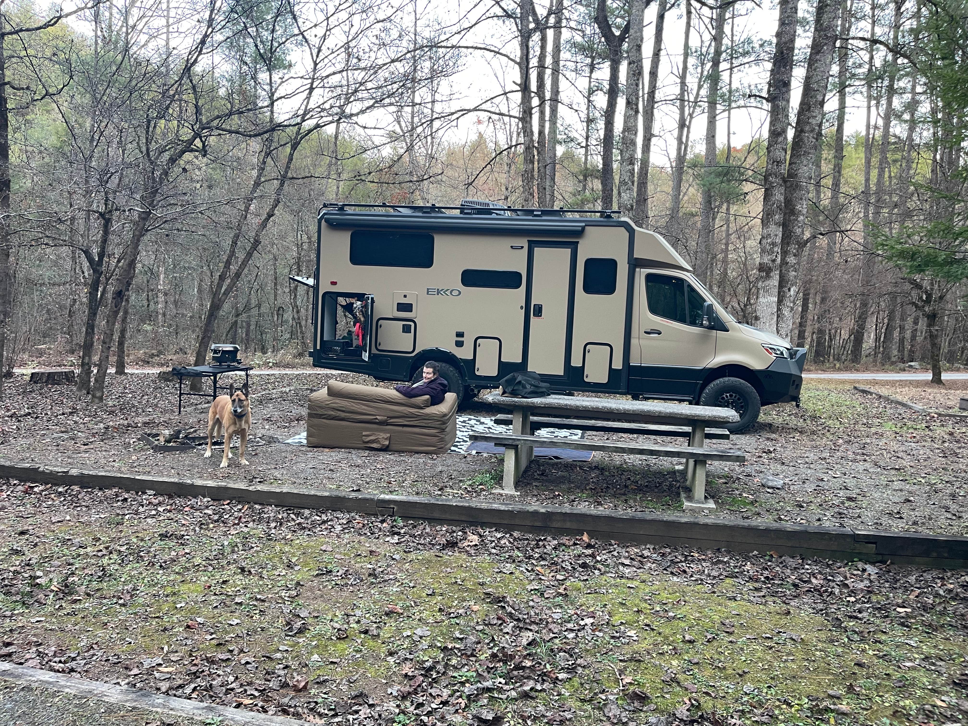 Mike B.'s photo of camping with pets at Young Branch Horse Camp near Madisonville, TN