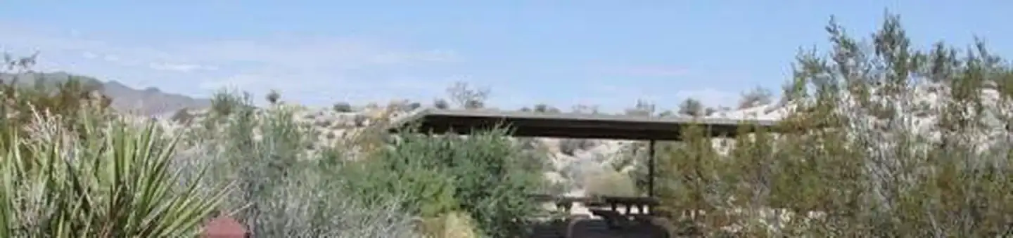 Camper-submitted photo at Cottonwood Campground — Joshua Tree National Park near Thermal, CA