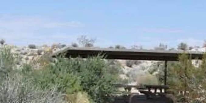 Camper submitted image from Cottonwood Campground — Joshua Tree National Park