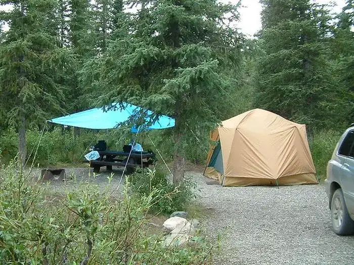 Camping near Wildthingz Dog Mushing: Brushkana Creek Campground, Cantwell, Alaska