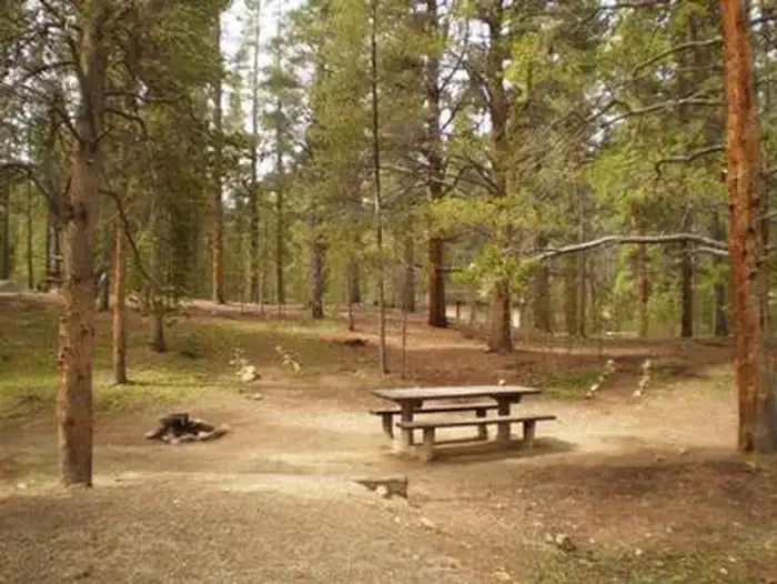 Camper-submitted photo at Father Dyer near Leadville, CO